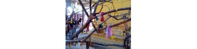 குச்சனூர்